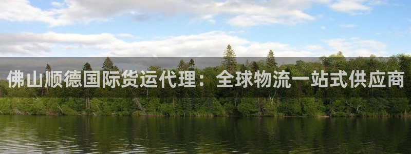 尊龙凯时人生就是搏!官网：佛山顺德国际货运代理：全球物流