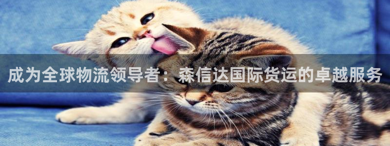 尊龙凯时 人生就是搏客服：成为全球物流领导者：森信达国际