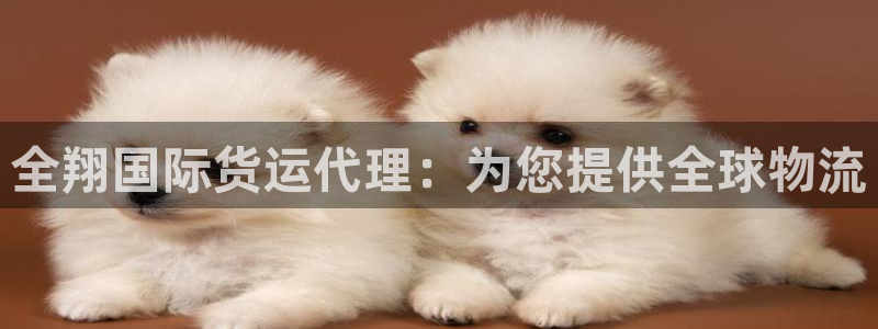 尊龙人生就是博AG旗舰厅：全翔国际货运代理：为您提供全球