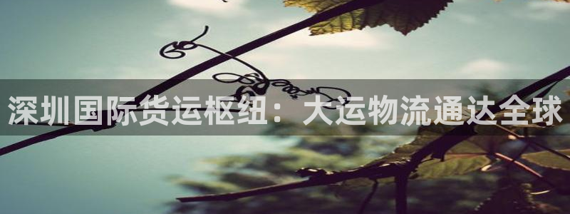 尊龙凯时客服：深圳国际货运枢纽：大运物流通达全球
