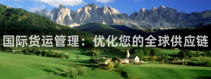 尊龙凯时不给提现怎么办：国际货运管理：优化您的全球供应链