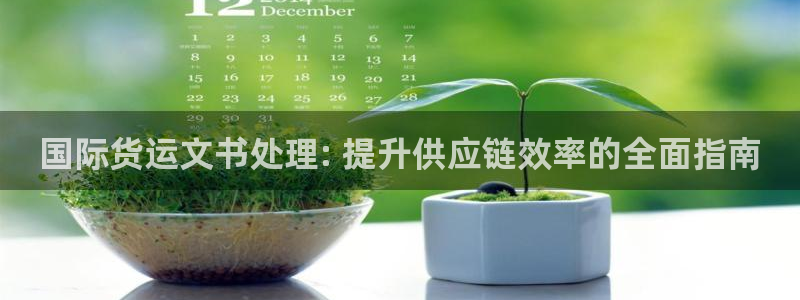 尊龙凯时官网：国际货运文书处理: 提升供应链效率的全面指