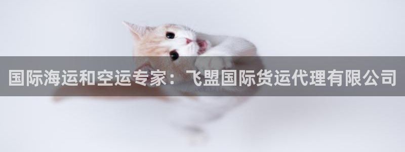 尊龙凯时app官方网站：国际海运和空运专家：飞盟国际货运