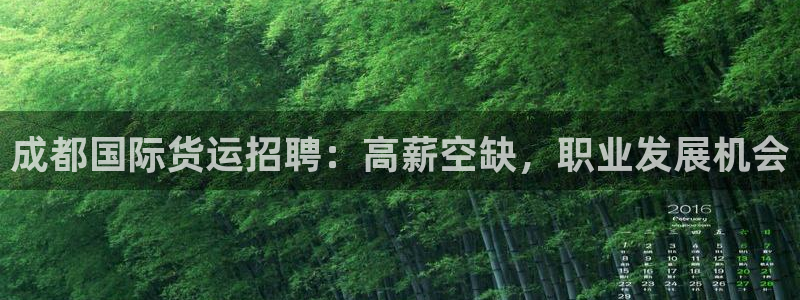 尊龙官方平台是正品吗：成都国际货运招聘：高薪空缺，职业发
