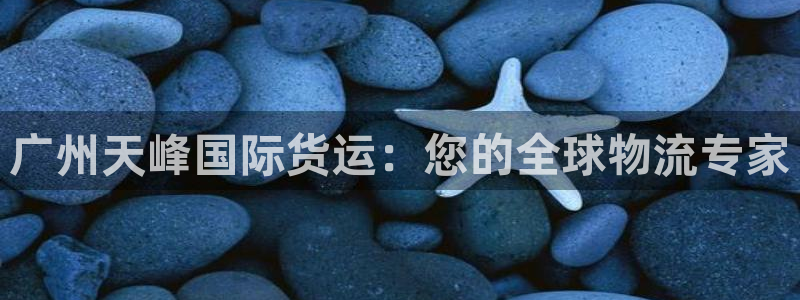 尊龙手机客户端下载：广州天峰国际货运：您的全球物流专家
