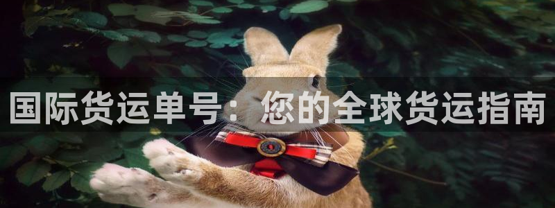 尊龙人生就是博旧版手机可靠送38元：国际货运单号：您的全