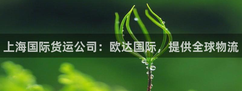 z6com尊龙凯时：上海国际货运公司：欧达国际，提供全球