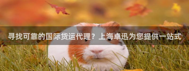 尊龙用现金一下可靠送38元：寻找可靠的国际货运代理？上海