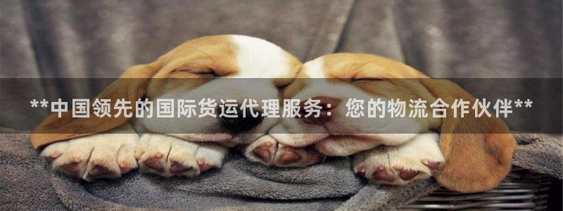 尊龙凯时网：**中国领先的国际货运代理服务：您的物流合作