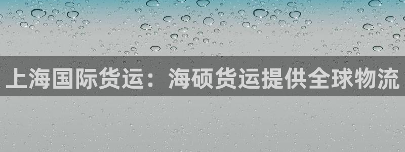 尊龙王t400：上海国际货运：海硕货运提供全球物流
