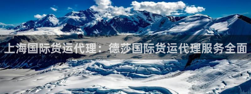 尊龙官网免费下载：上海国际货运代理：德莎国际货运代理服务