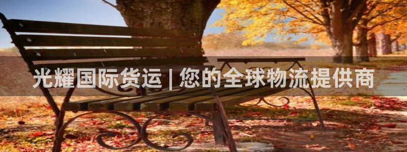 尊龙手机客户端app：光耀国际货运 | 您的全球物流提供