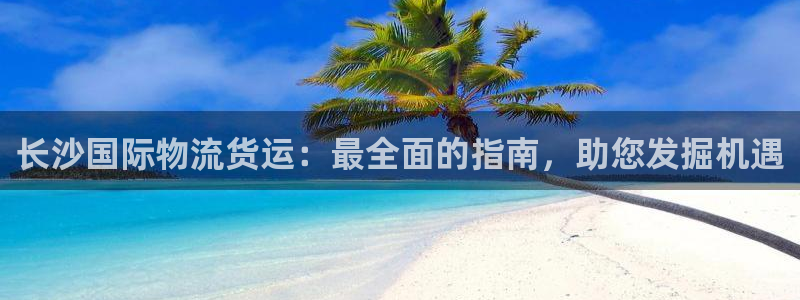 尊龙网站注册网：长沙国际物流货运：最全面的指南，助您发掘