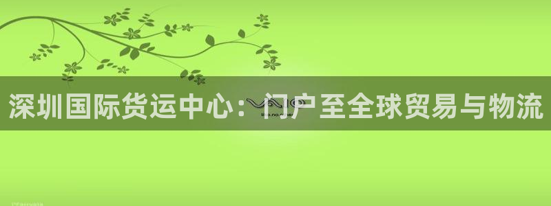 尊龙凯时麻将胡了：深圳国际货运中心：门户至全球贸易与物流