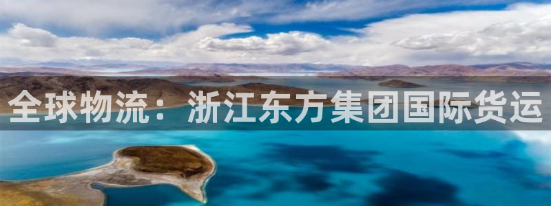 尊龙凯时的最新消息：全球物流：浙江东方集团国际货运