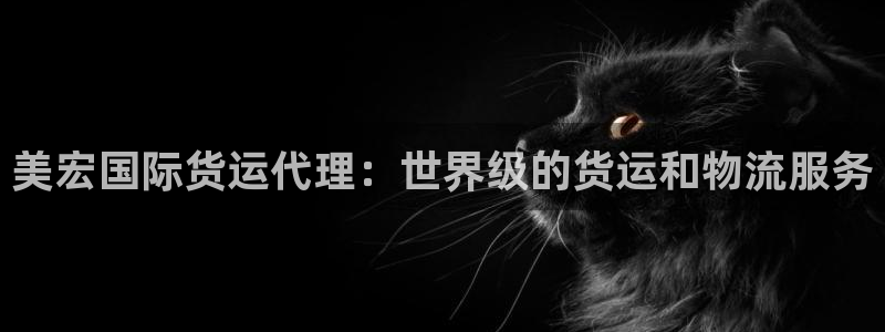 尊龙网页：美宏国际货运代理：世界级的货运和物流服务