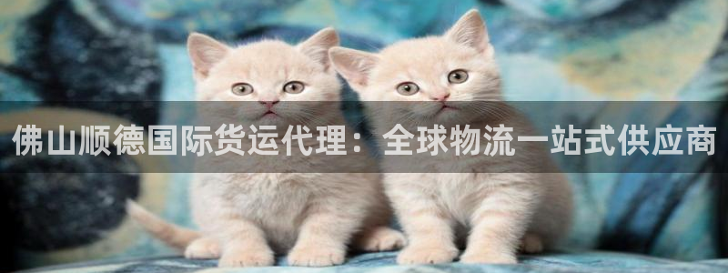 尊龙实业有限公司：佛山顺德国际货运代理：全球物流一站式供