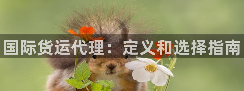 尊龙凯时 人生就是搏!平台：国际货运代理：定义和选择指南