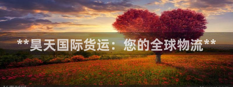 尊龙官网在哪里：**昊天国际货运：您的全球物流**