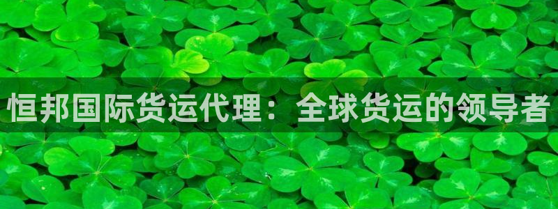 尊龙凯时充值不到账：恒邦国际货运代理：全球货运的领导者