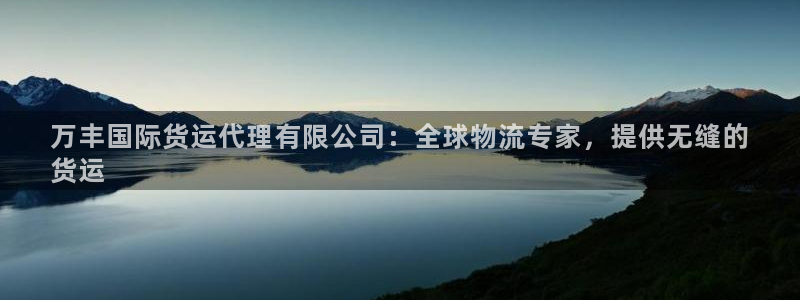 尊龙人生就是博一下阿扎尔：万丰国际货运代理有限公司：全球