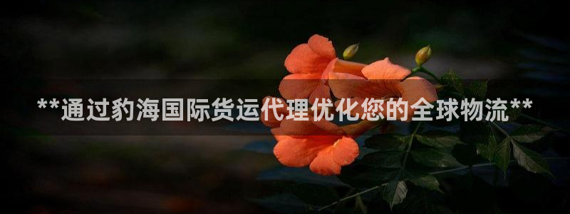尊龙电子：**通过豹海国际货运代理优化您的全球物流**