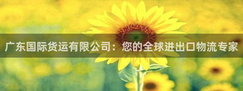 尊龙一人生就是搏：广东国际货运有限公司：您的全球进出口物