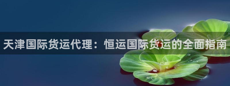 尊龙 贴吧：天津国际货运代理：恒运国际货运的全面指南
