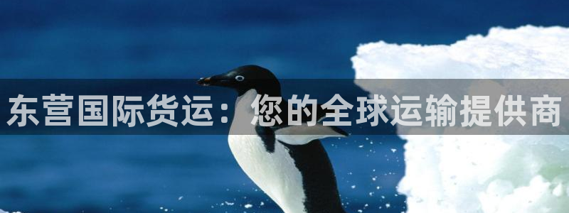 尊龙王t400：东营国际货运：您的全球运输提供商