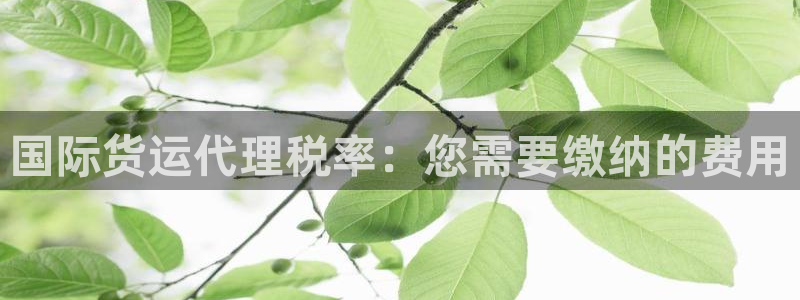 尊龙人生就是博登陆：国际货运代理税率：您需要缴纳的费用