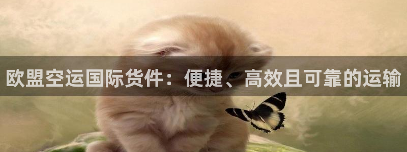 尊龙网页：欧盟空运国际货件：便捷、高效且可靠的运输
