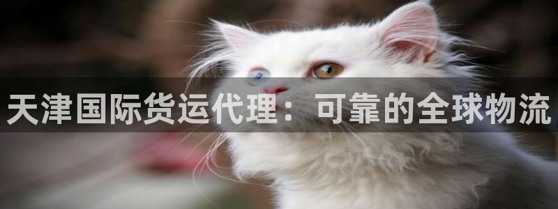 尊龙现金d88：天津国际货运代理：可靠的全球物流