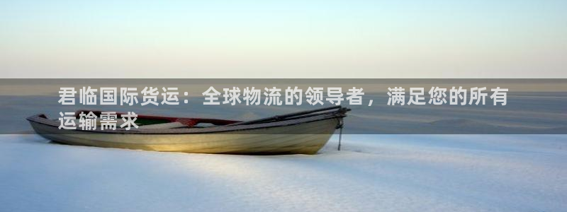 尊龙z6官网ag：君临国际货运：全球物流的领导者，满足您