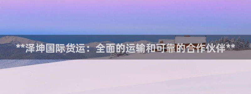 尊龙z6官网ag：**泽坤国际货运：全面的运输和可靠的合