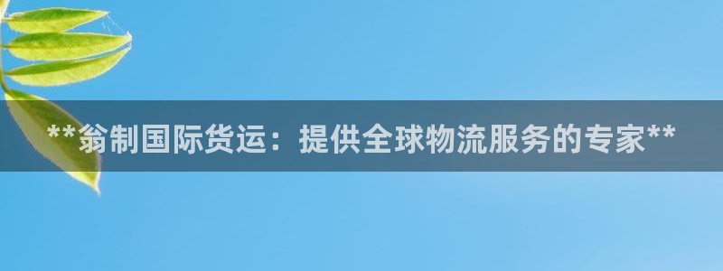 尊龙人生就是博客服：**翁制国际货运：提供全球物流服务的