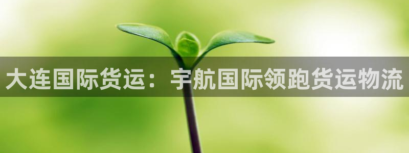 尊龙凯时ag旗舰厅登陆：大连国际货运：宇航国际领跑货运物