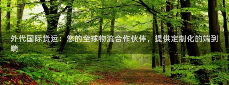 尊龙凯时是哪个国家的：外代国际货运：您的全球物流合作伙伴