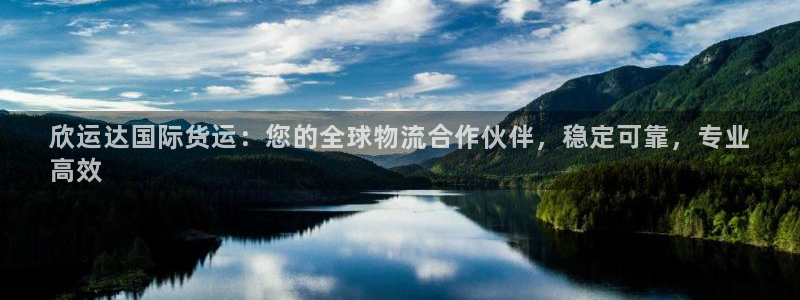 尊龙人生就是博AG：欣运达国际货运：您的全球物流合作伙伴