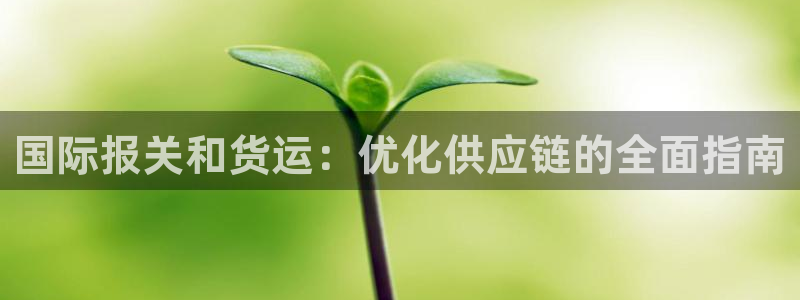尊龙凯时登陆网址：国际报关和货运：优化供应链的全面指南