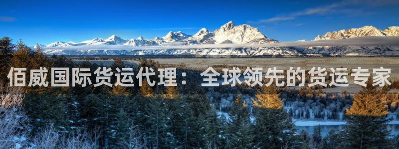 尊龙凯时ag旗舰厅官网客服：佰威国际货运代理：全球领先的