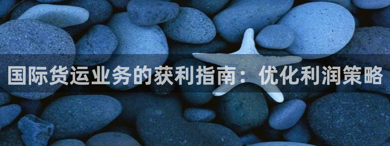 尊龙凯时取钱很慢：国际货运业务的获利指南：优化利润策略