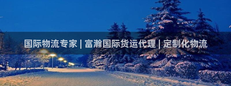 尊龙旗舰厅：国际物流专家 | 富瀚国际货运代理 | 定制