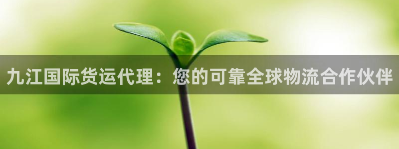尊龙凯时取款不成功：九江国际货运代理：您的可靠全球物流合