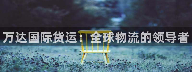 尊龙ag旗舰官网：万达国际货运：全球物流的领导者