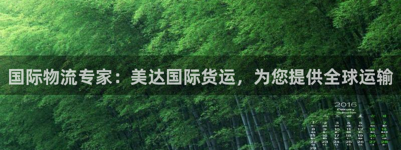 尊龙凯时代理官网入口：国际物流专家：美达国际货运，为您提