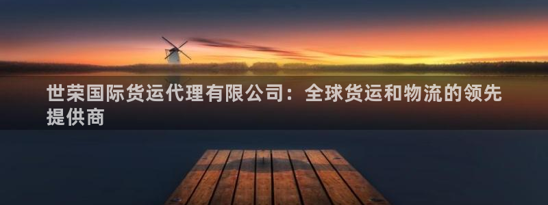 尊龙凯时链接：世荣国际货运代理有限公司：全球货运和物流的