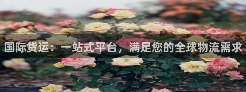 尊龙人生就是博用现金玩一下：国际货运：一站式平台，满足您
