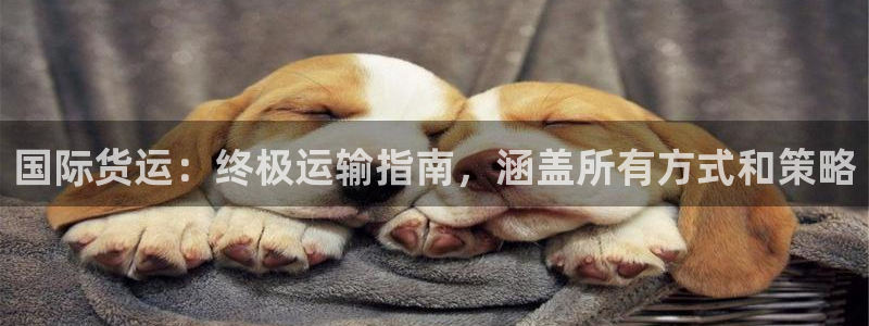 尊龙凯时麻将胡了：国际货运：终极运输指南，涵盖所有方式和