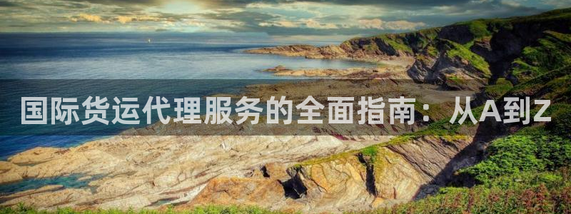 旧版尊龙人生就是博下载：国际货运代理服务的全面指南：从A