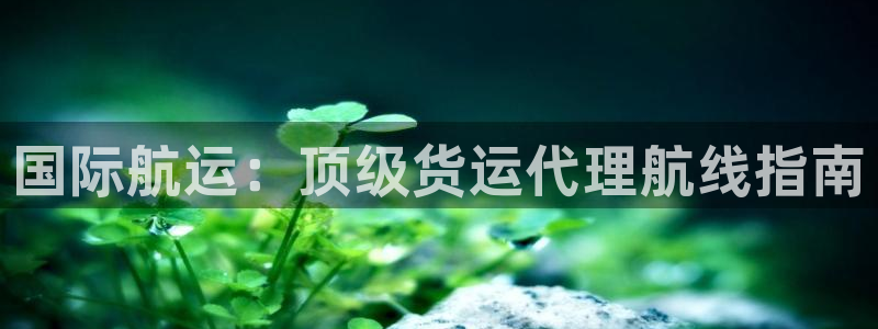尊龙凯时不朽情缘：国际航运：顶级货运代理航线指南